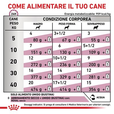 12x100g Royal Canin Renal - Cibo Umido per Cani 12x100g Royal Canin Renal - Cibo Umido per Cani